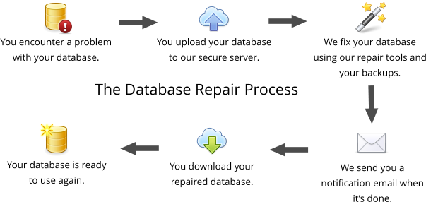 DatabaseRepairProcess