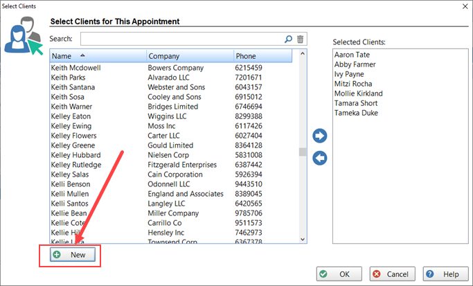 Concurrent Appointment Creating a New Client